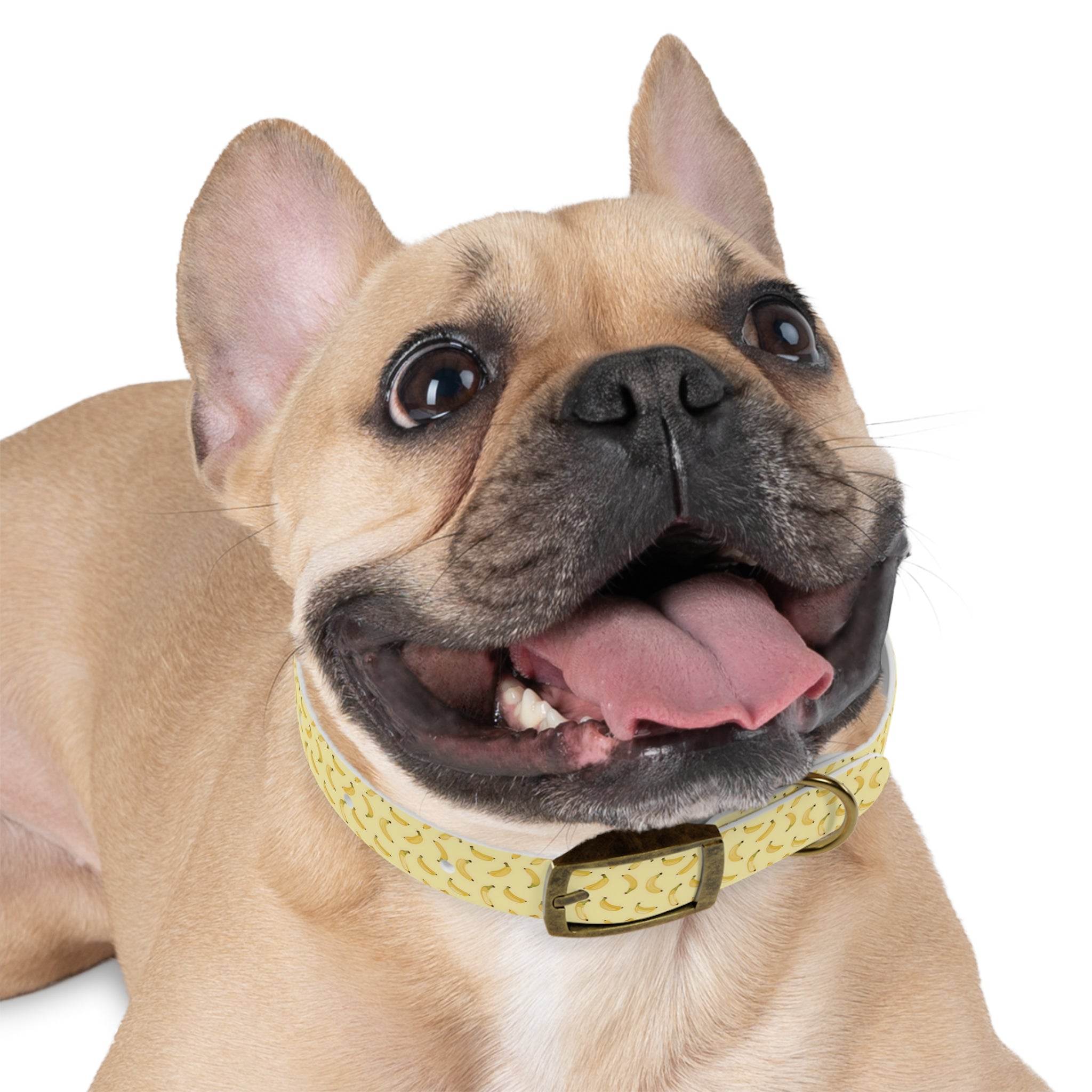 Potassium Power Eco-Friendly Dog Collar - Esmeralda Ecostore