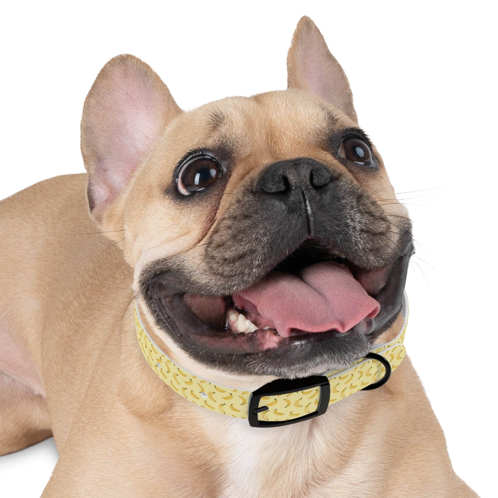 Potassium Power Eco-Friendly Dog Collar - Esmeralda Ecostore