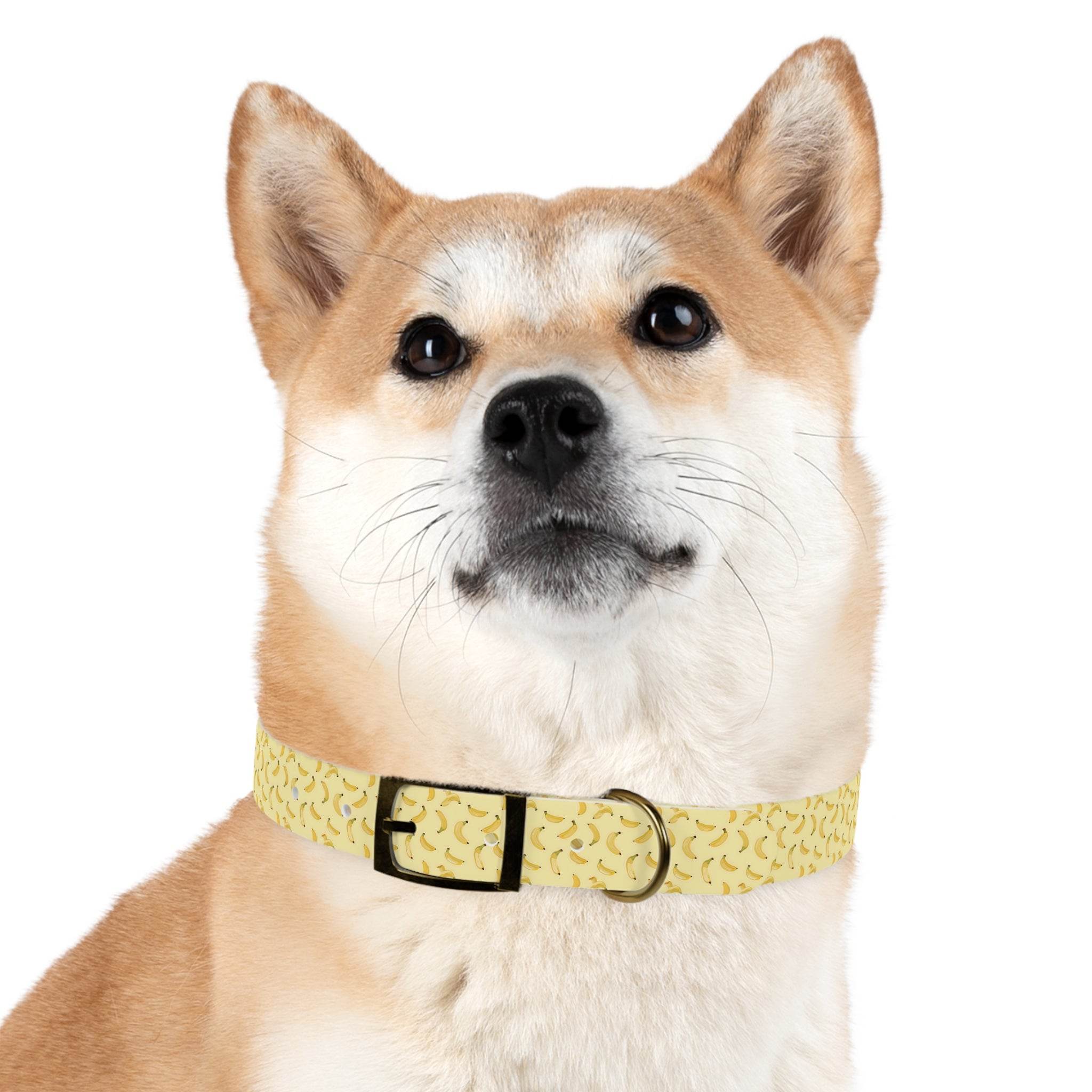 Potassium Power Eco-Friendly Dog Collar - Esmeralda Ecostore