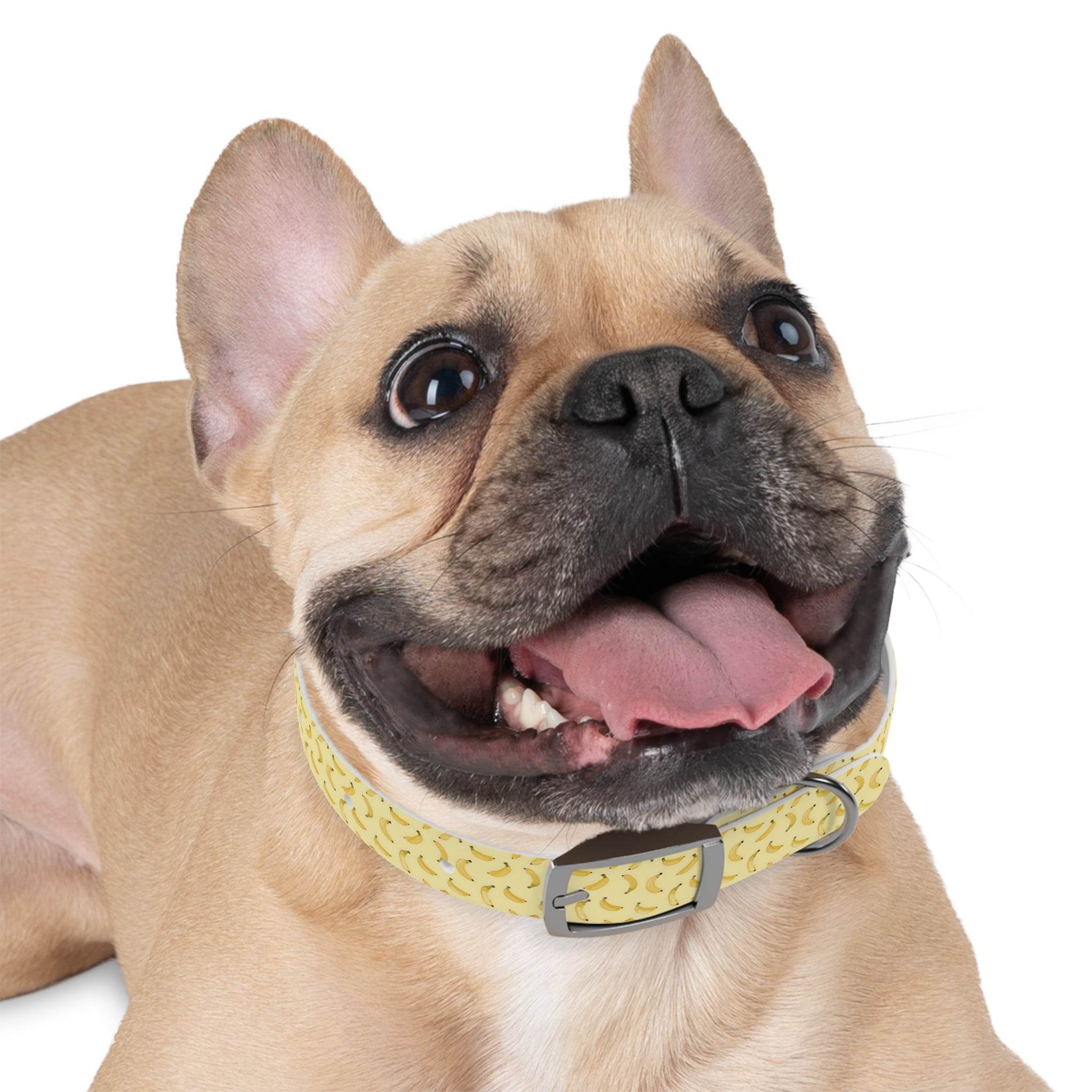 Potassium Power Eco-Friendly Dog Collar - Esmeralda Ecostore