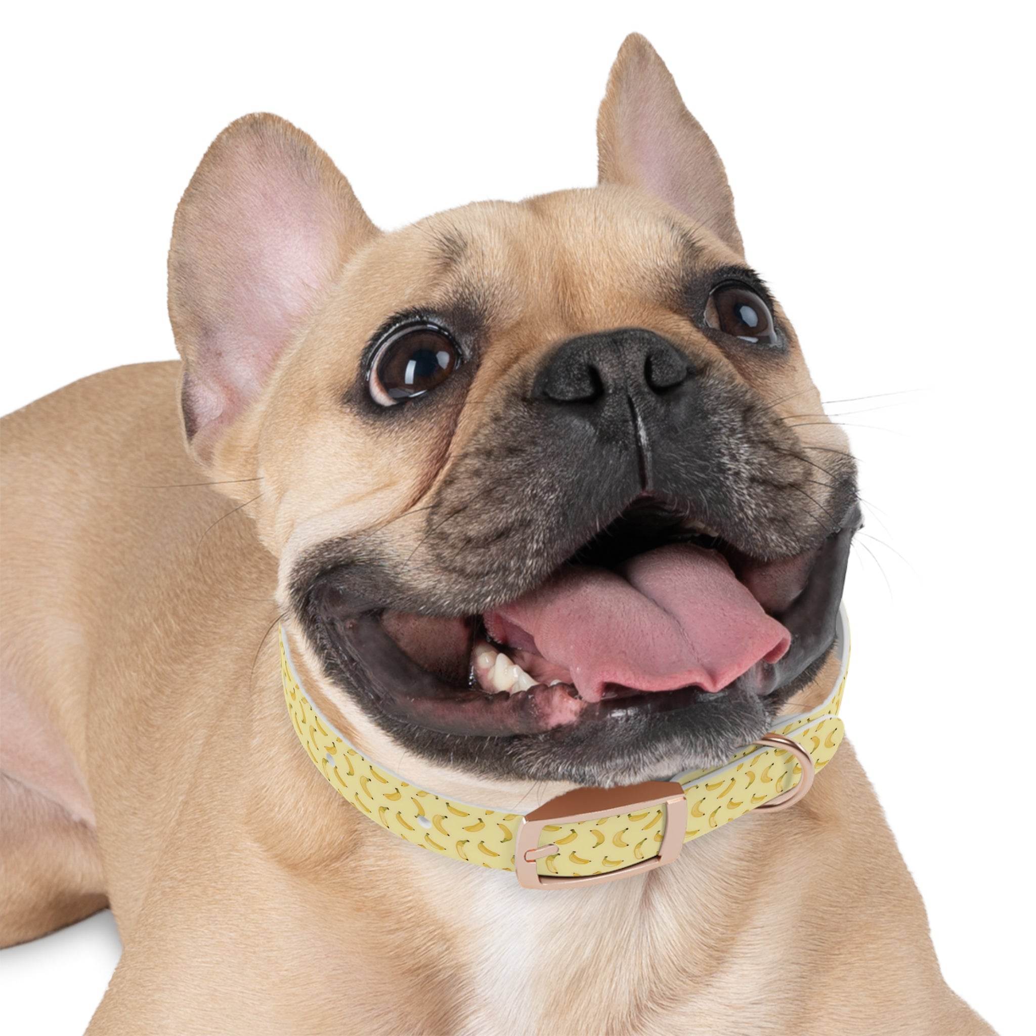 Potassium Power Eco-Friendly Dog Collar - Esmeralda Ecostore