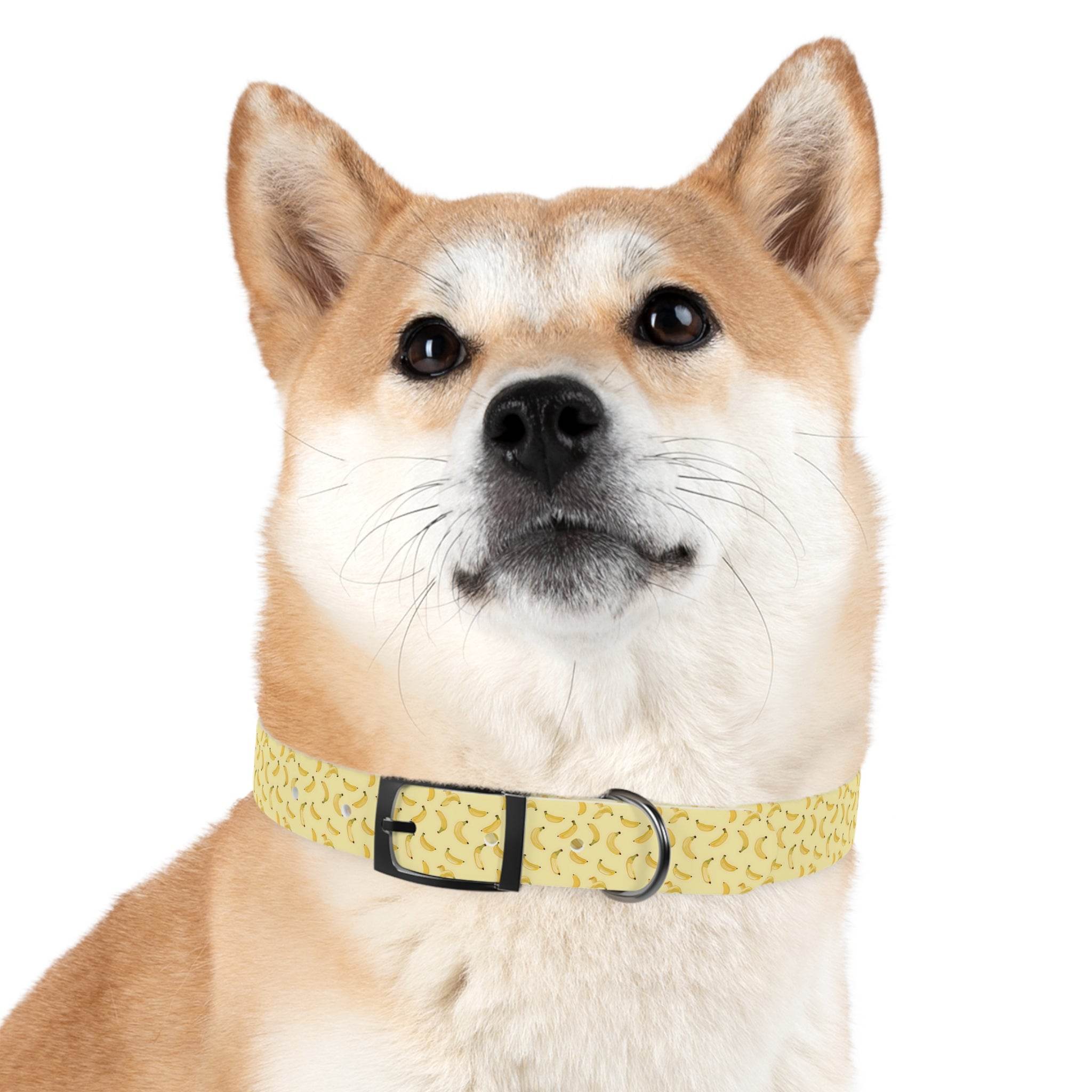 Potassium Power Eco-Friendly Dog Collar - Esmeralda Ecostore