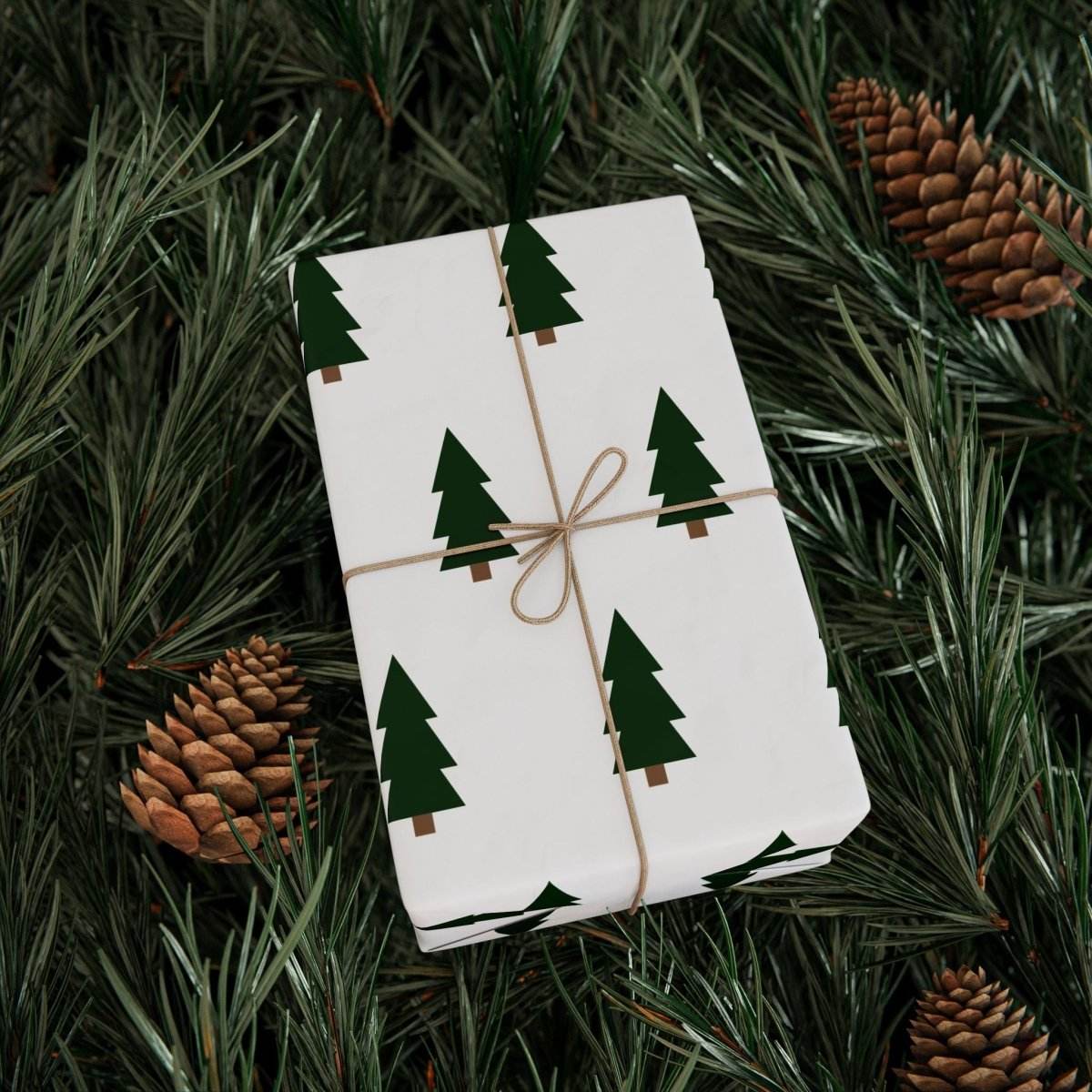Gift wrapped with Christmas tree wrapping paper featuring green tree patterns and tied with brown string on pine branches background