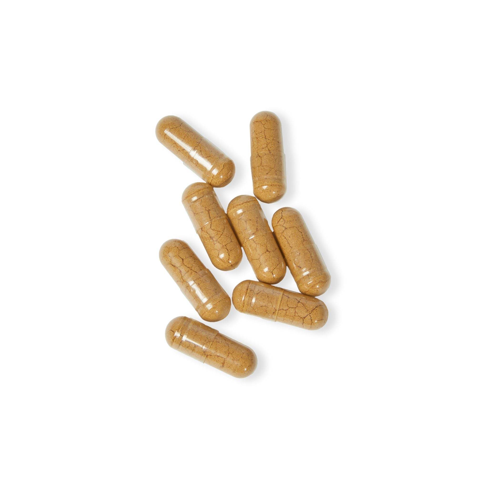 Close-up of brown forest formula mushroom capsules supplement pills on white background