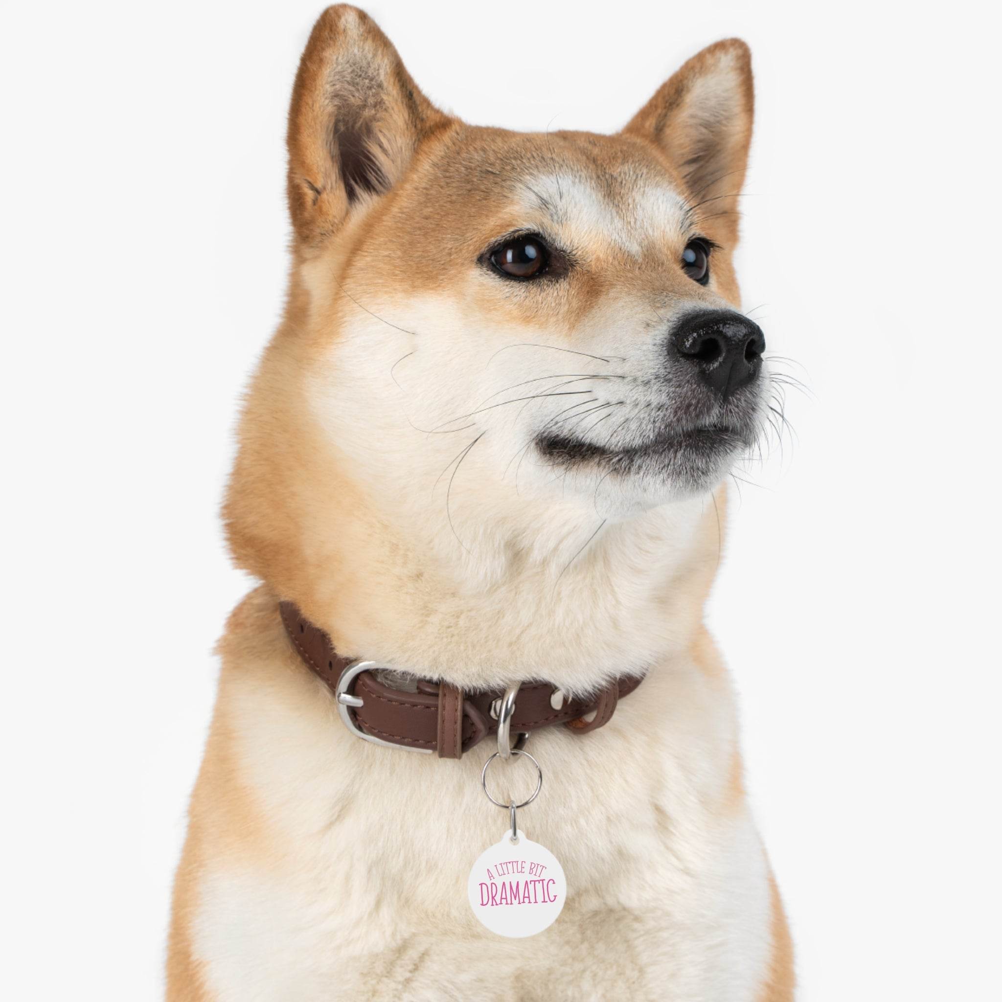 Dog wearing a brown collar with an eco-friendly pet tags pendant from Printify
