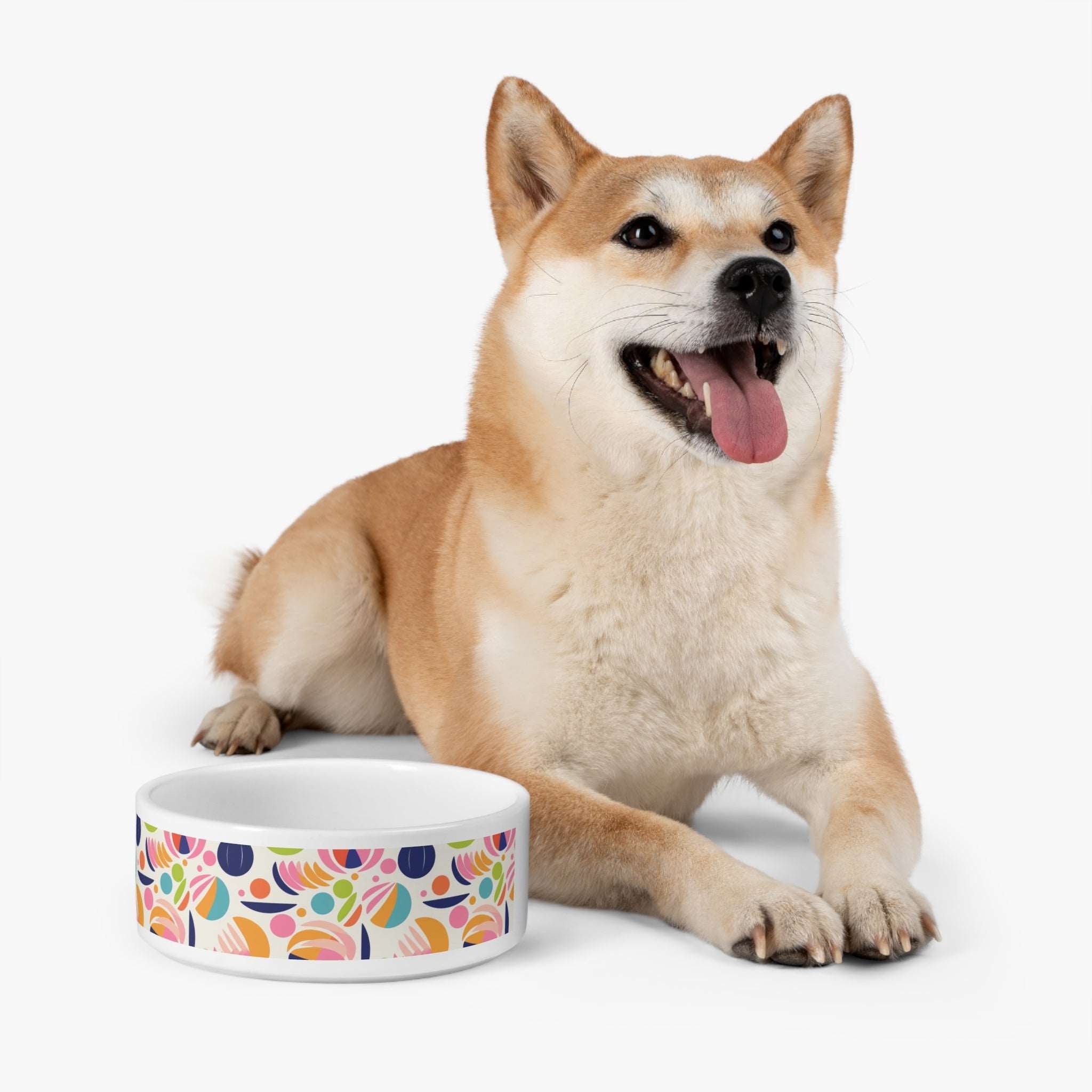 Shiba Inu next to a sustainable pet bowl fancy design featuring colorful floral patterns