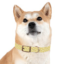 Potassium Power Eco-Friendly Dog Collar - Esmeralda Ecostore