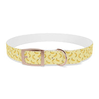 Potassium Power Eco-Friendly Dog Collar - Esmeralda Ecostore