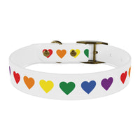 Rainbow Hearts Dog Collar