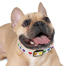 Rainbow Hearts Dog Collar