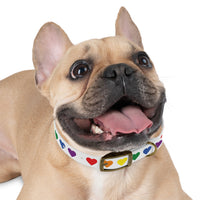 Rainbow Hearts Dog Collar