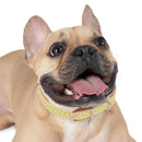 Potassium Power Eco-Friendly Dog Collar - Esmeralda Ecostore