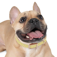 Potassium Power Eco-Friendly Dog Collar - Esmeralda Ecostore