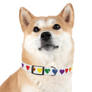 Rainbow Hearts Dog Collar