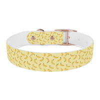 Potassium Power Eco-Friendly Dog Collar - Esmeralda Ecostore