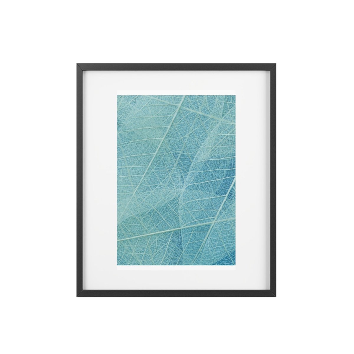 Botanical Blue Framed Posters