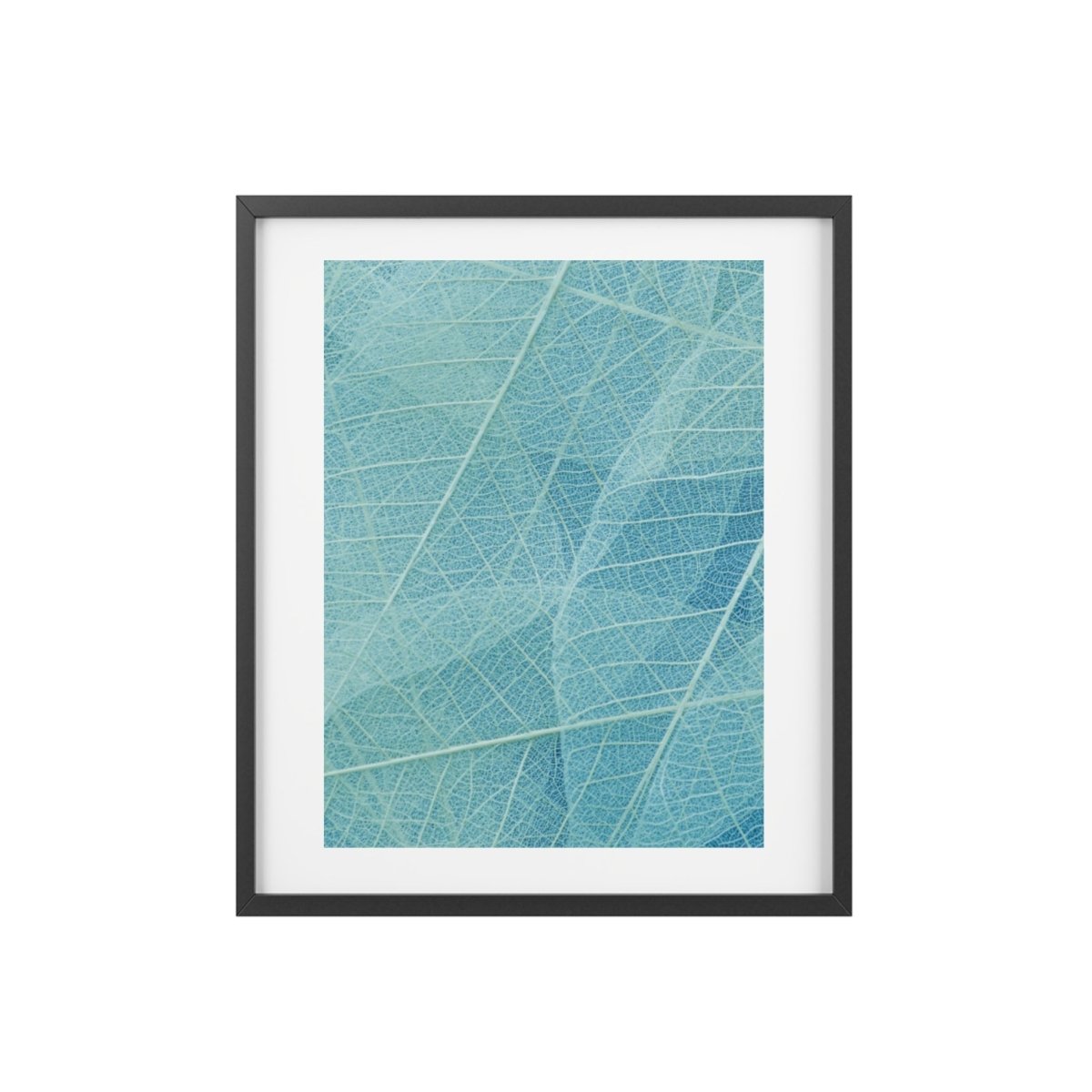 Botanical Blue Framed Posters