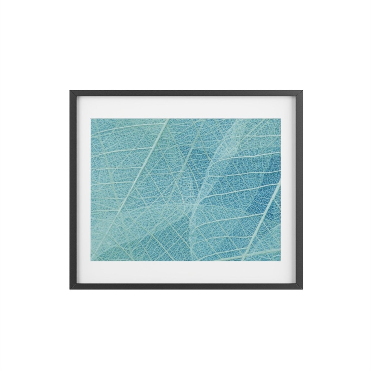 Botanical Blue Framed Posters