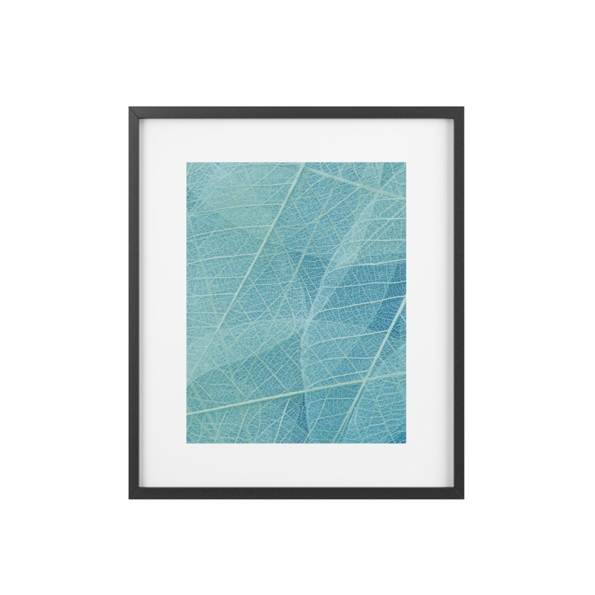 Botanical Blue Framed Posters