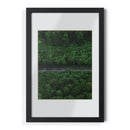 Forest Road Framed Posters