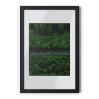 Forest Road Framed Posters