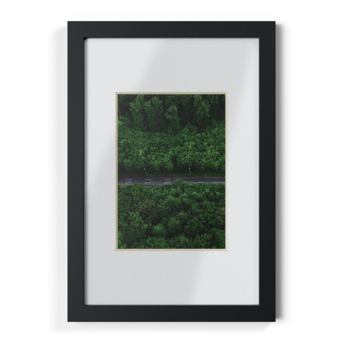 Forest Road Framed Posters