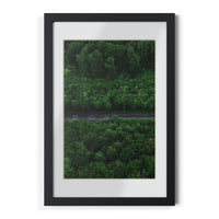 Forest Road Framed Posters