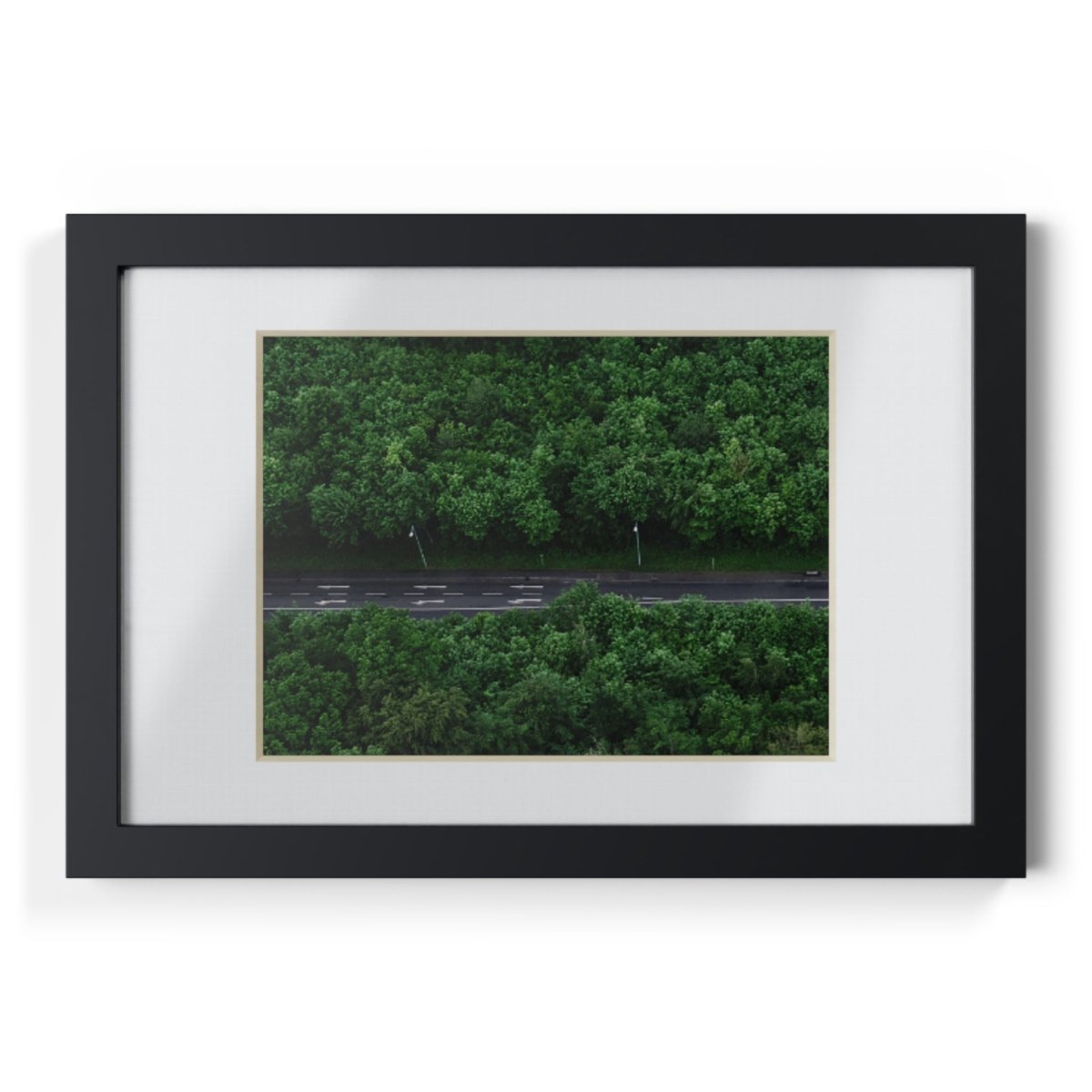 Forest Road Framed Posters