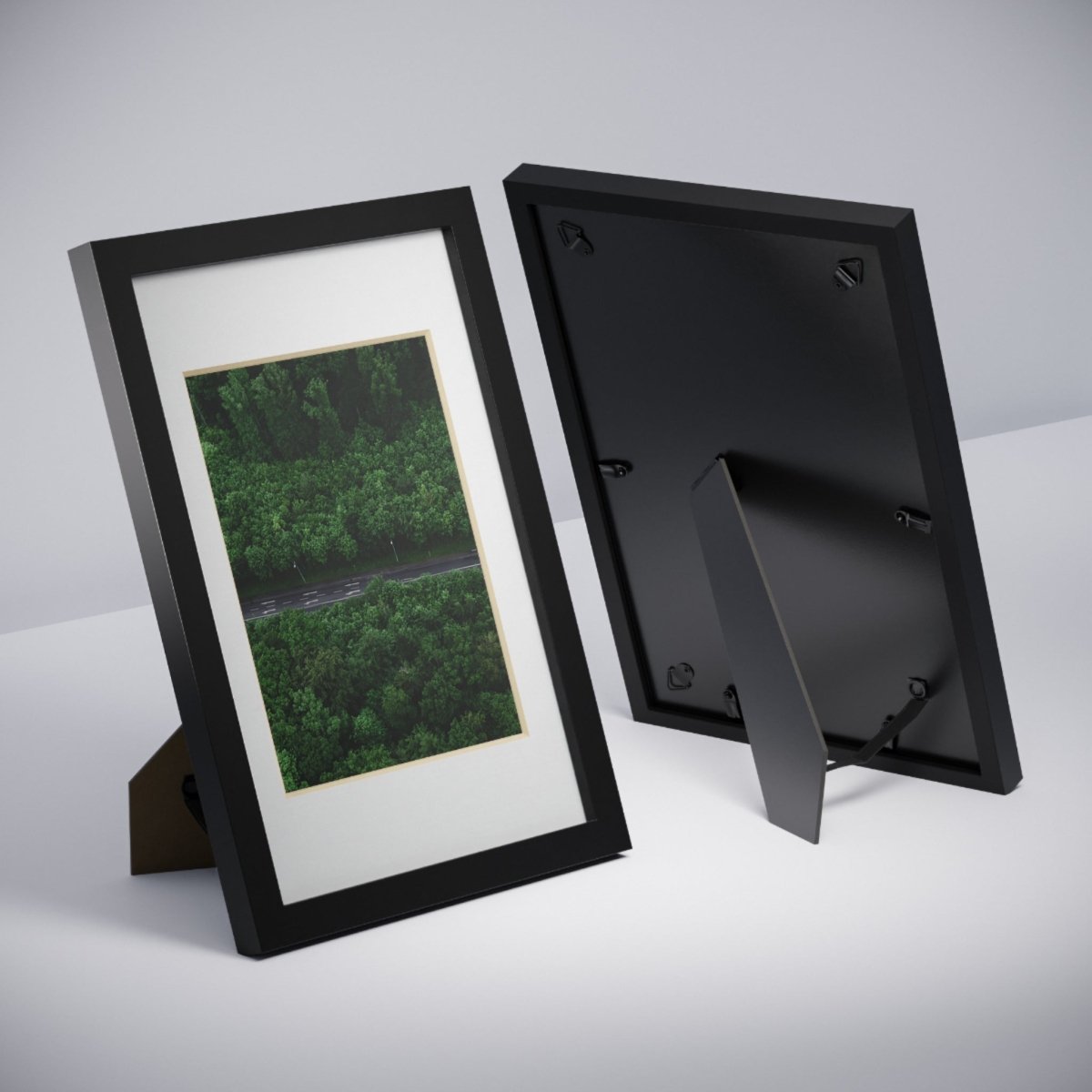 Forest Road Framed Posters