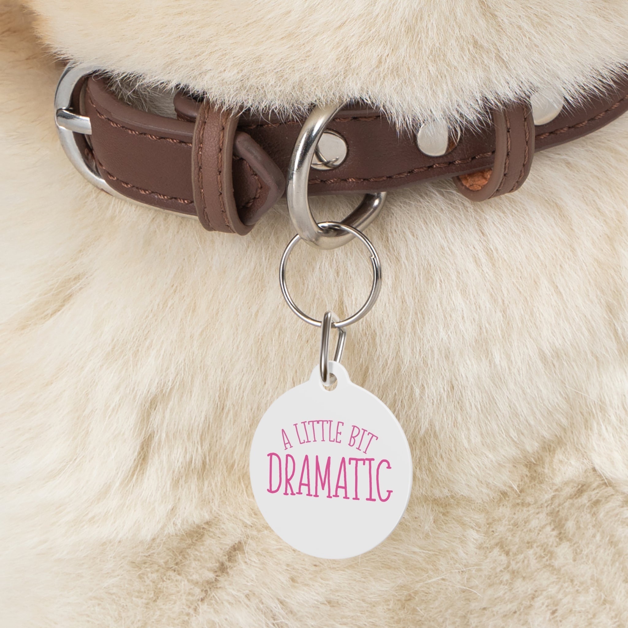 Personality Pet Tag