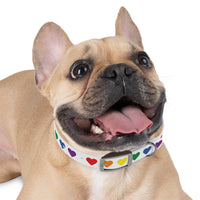 Happy tan French Bulldog wearing Printify rainbow heart dog collar with colorful hearts on white background