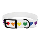 Rainbow heart dog collar with colorful heart patterns on white adjustable strap