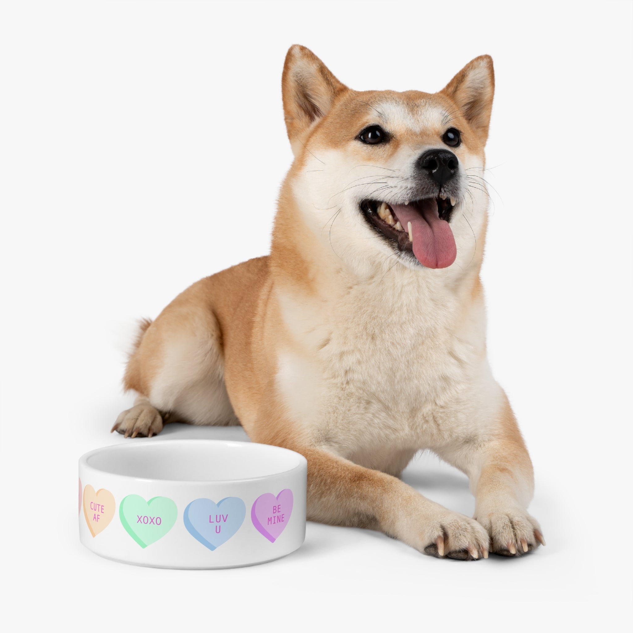 XOXO Food Pet Bowl